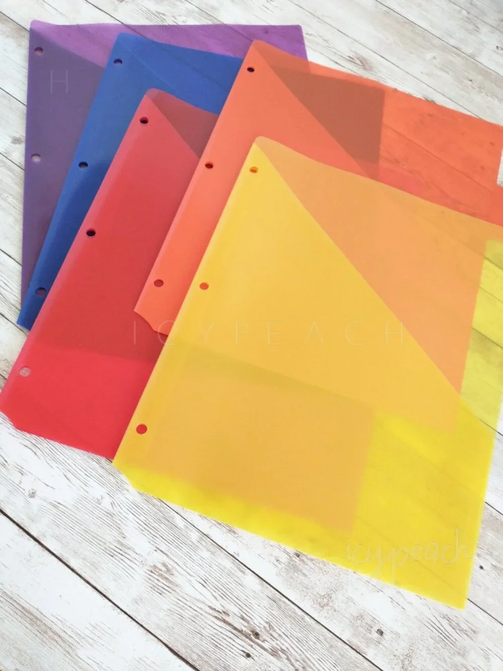 Slash File Jackets Set of 5 Translucent for 3-Ring Binders Letter Hole Punched